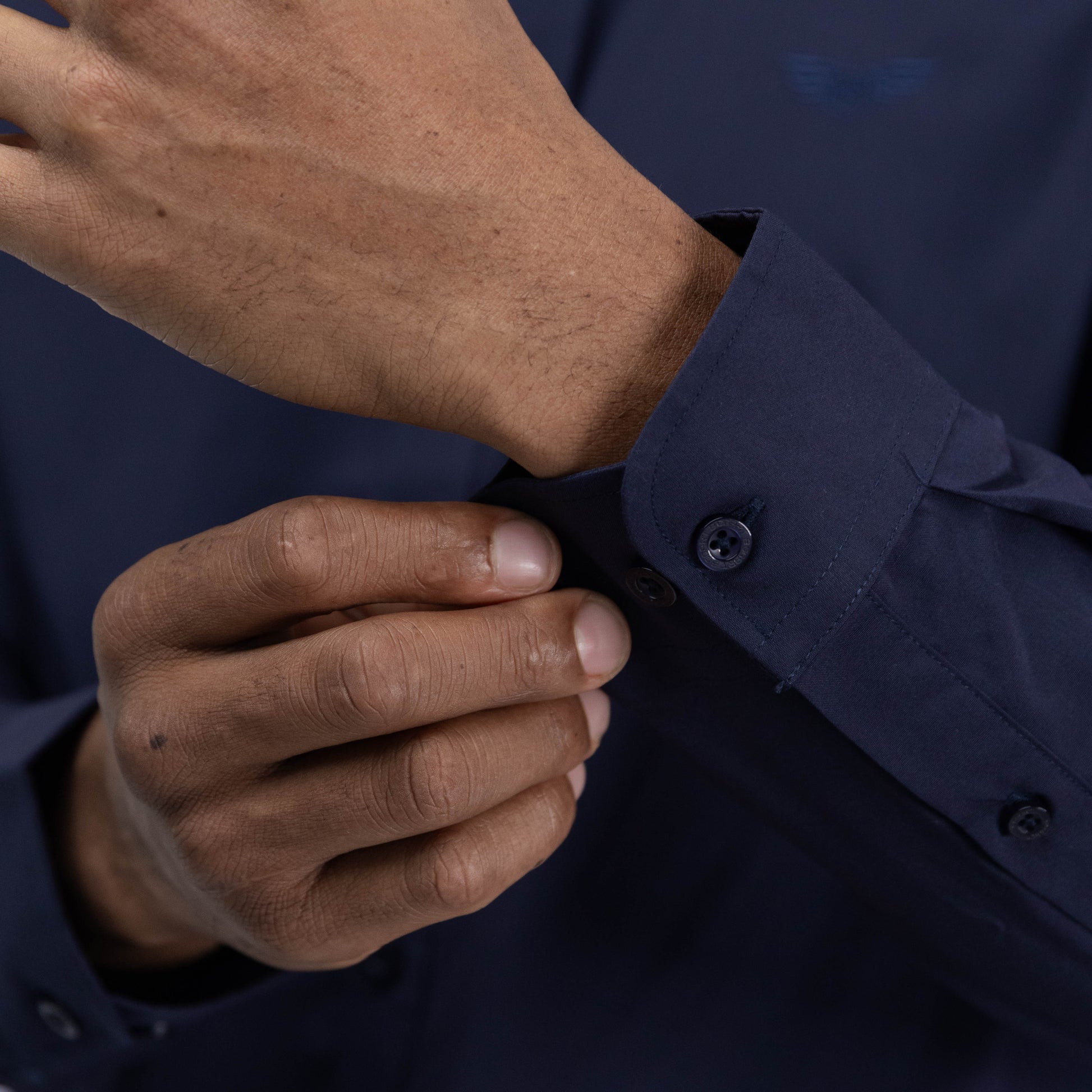 Bogart Wings Crest Dress Shirt