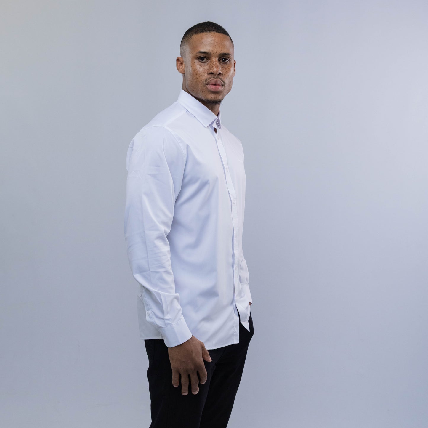 Bogart Wings Crest Dress Shirt